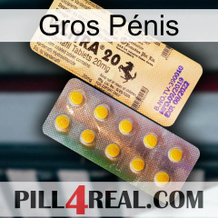 Gros Pénis new06